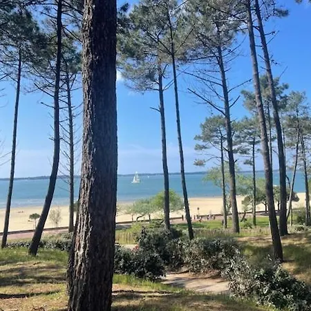 La Grange Sous Les Pins Landais *