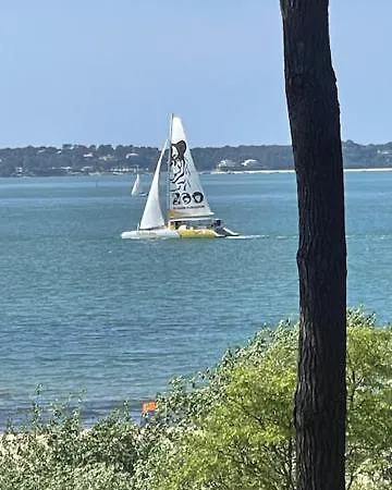 La Grange Sous Les Pins Landais Hébergement de vacances Pissos