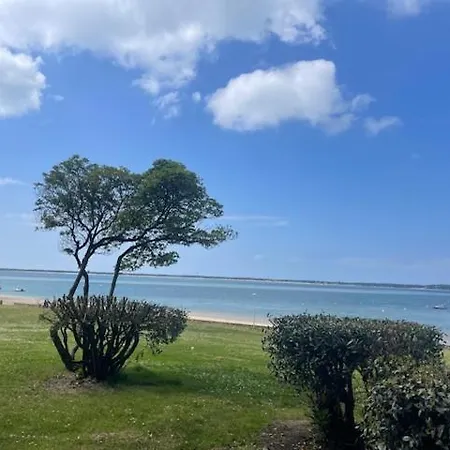 La Grange Sous Les Pins Landais Pissos