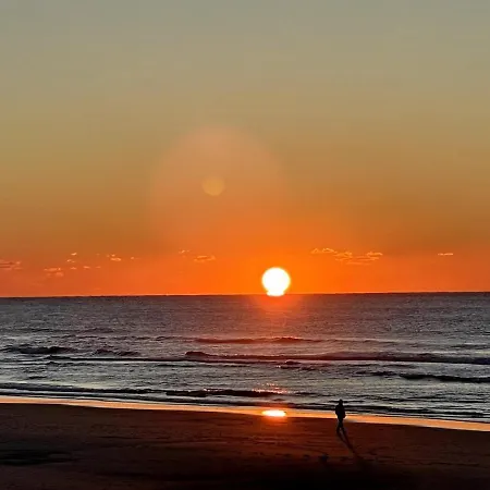 Hébergement de vacances La Grange Sous Les Pins Landais *